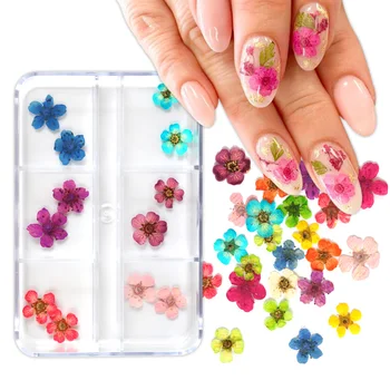 12шт 3D сухих цветов Украшения для ногтей Наклейки с настоящими сухоцветами Дизайн своими руками Маникюрные брелоки для ногтей Аксессуары для стилистов