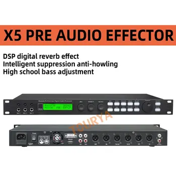 Уровень звукового процессора X5 sound fx, обеспечивающий защиту от караоке и шума перед этапом обработки звука домашней встречи