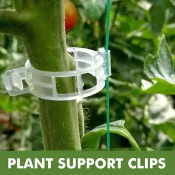 50шт Пластиковых зажимов для поддержки растений Многоразовый Инструмент для защиты виноградных лоз, прививки и крепления для овощей, Томатов и садовых принадлежностей