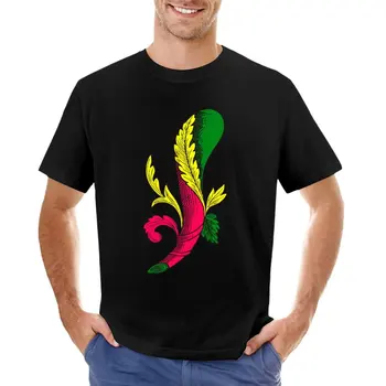 Asso di Bastoni, Аутентичная итальянская футболка Scopa Briscola для мальчика, милая одежда с коротким рукавом, мужские футболки с графическим рисунком, комплект
